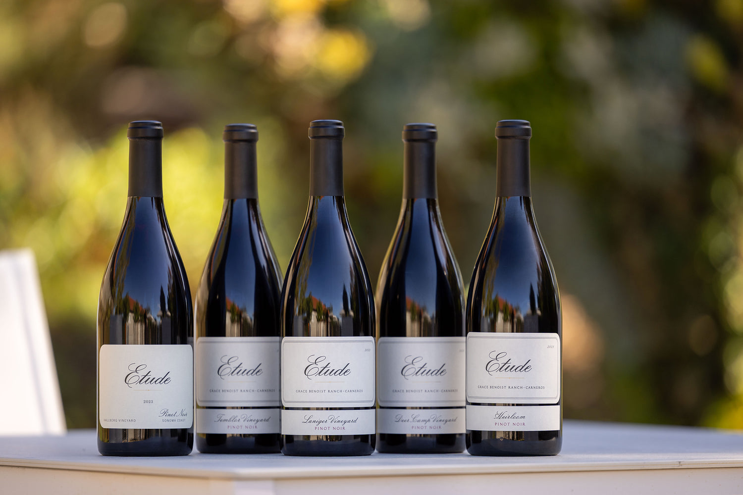 2023 Fall Release Wines