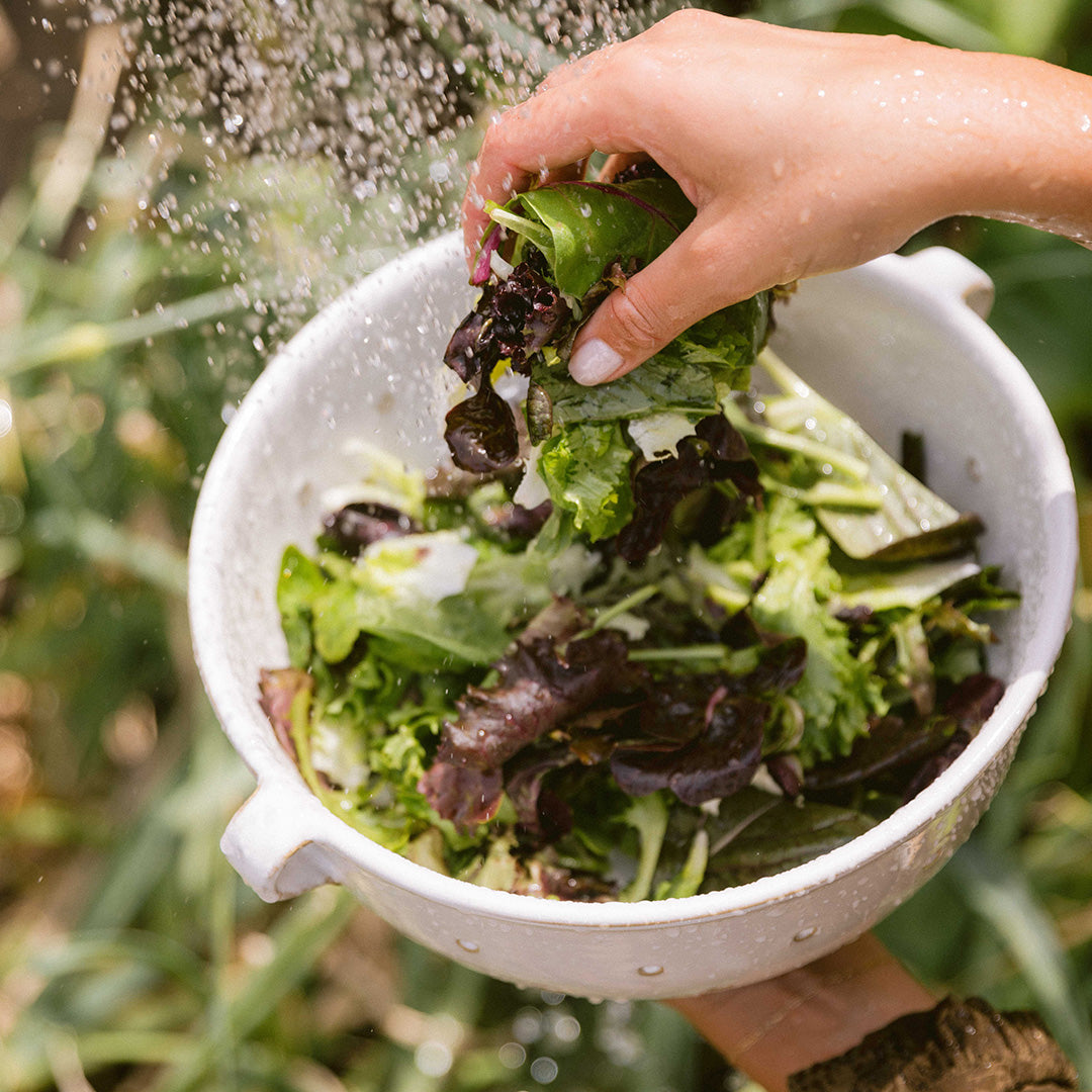 Person washing fresh mixed greens in a colander.
