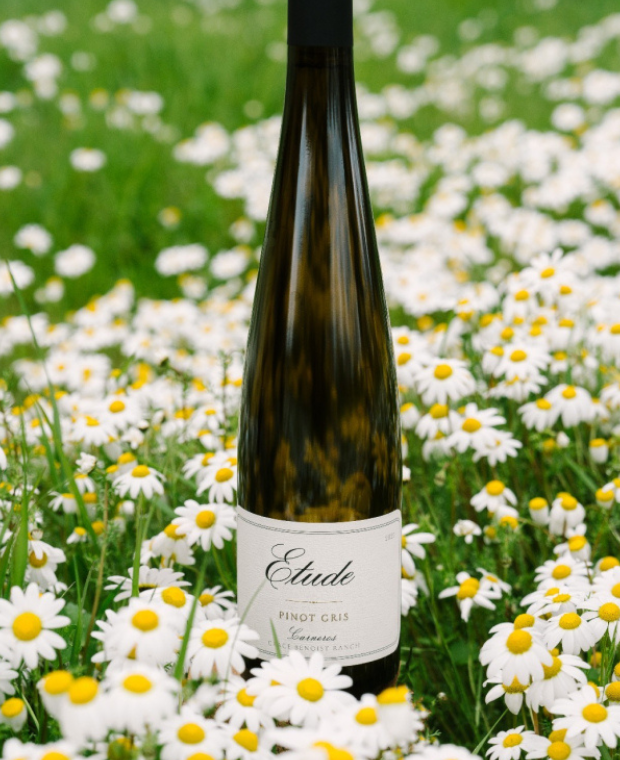 Etude Pinot Gris wine bottle in a field of daisies.