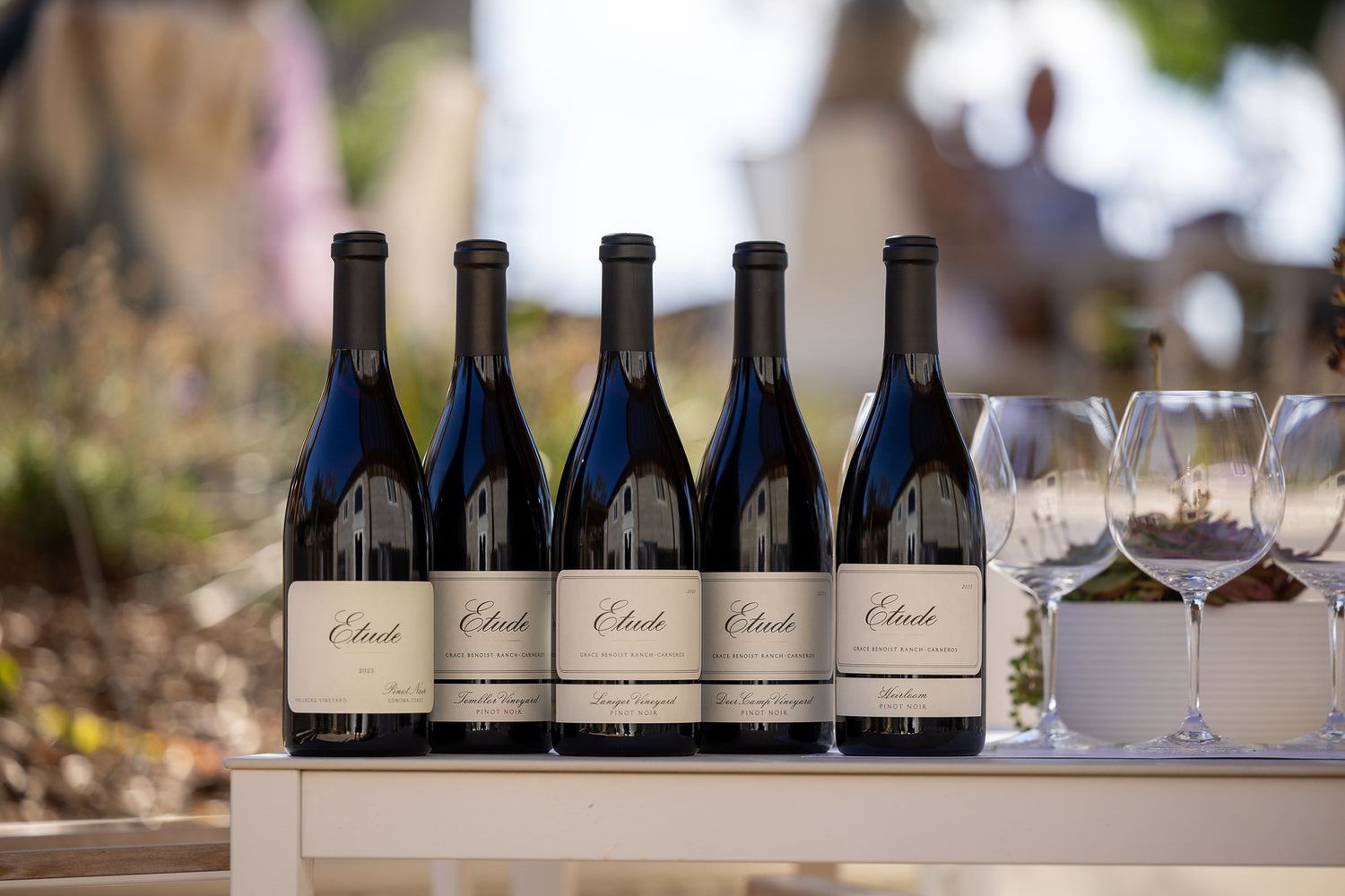 2023 Fall Release Wines