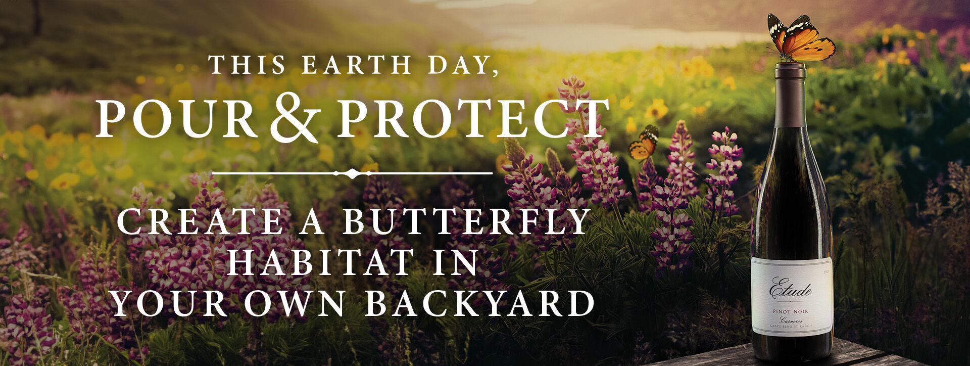 Etude Pinot Noir wine bottle with butterfly on top, in a field of wildflowers.