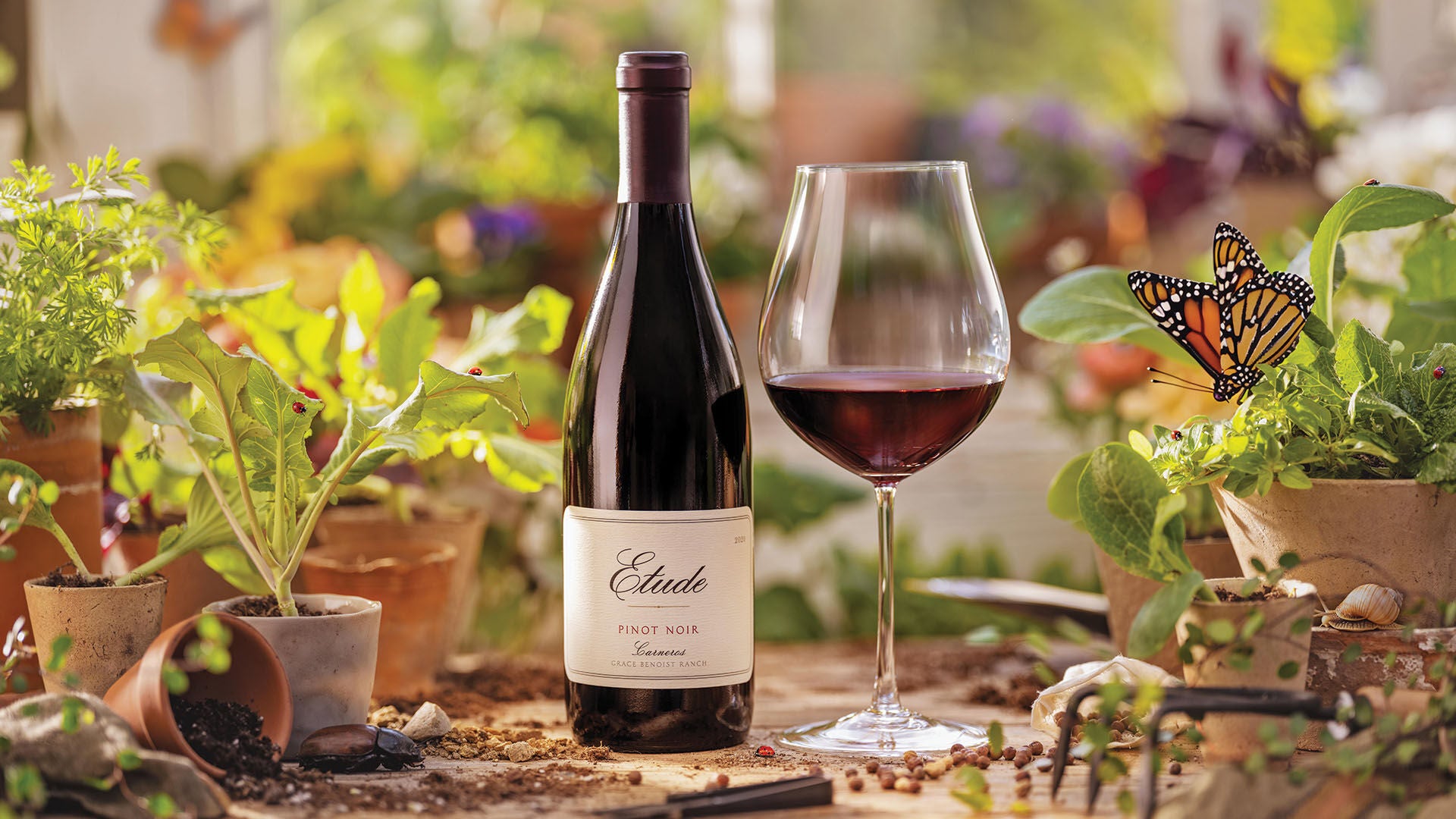 Bottle of Etude Pinot Noir Carneros wine with a glass and garden setting.