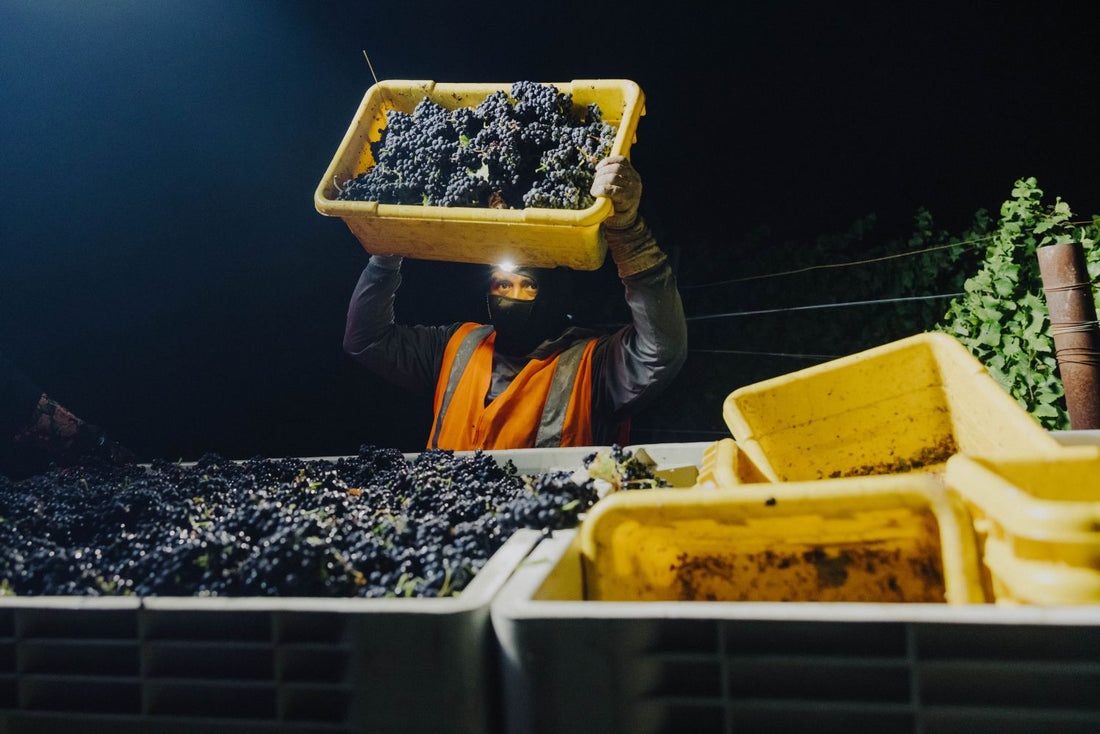 People & Planet: Good Neighbors Make Great Wine