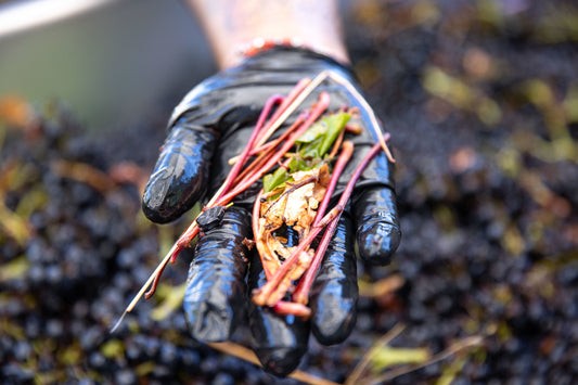 People & Planet: From Wine to Waste and Back Again