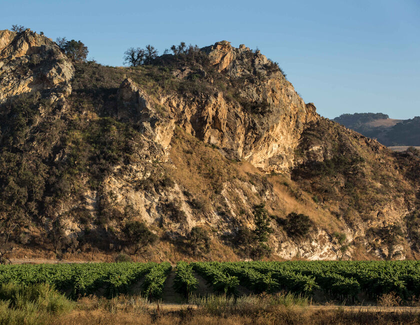 Vineyard nestled in a rocky hillside at sunset