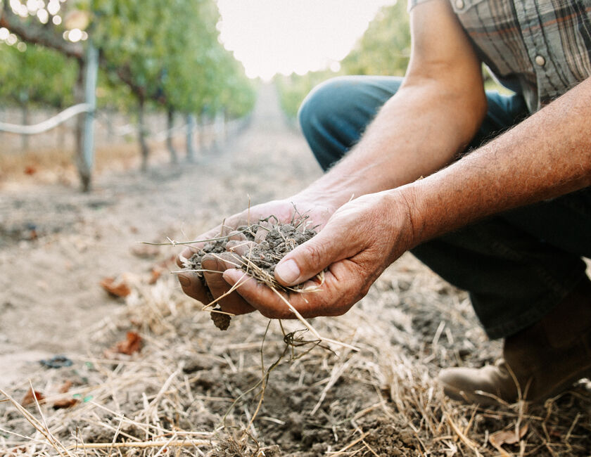 Winemaker Jon Priest examining soil sample in vineyard