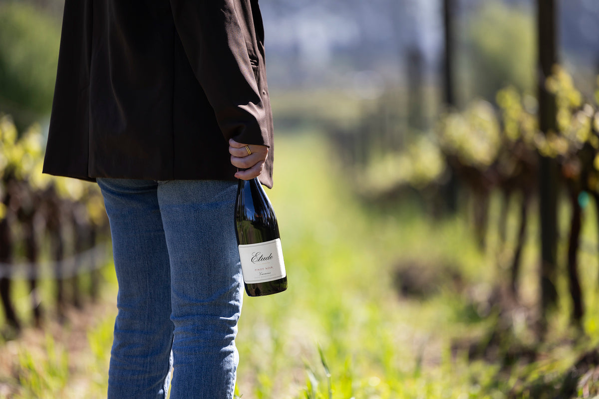 Person holding a bottle of Etude Pinot Noir wine in a vineyard.
