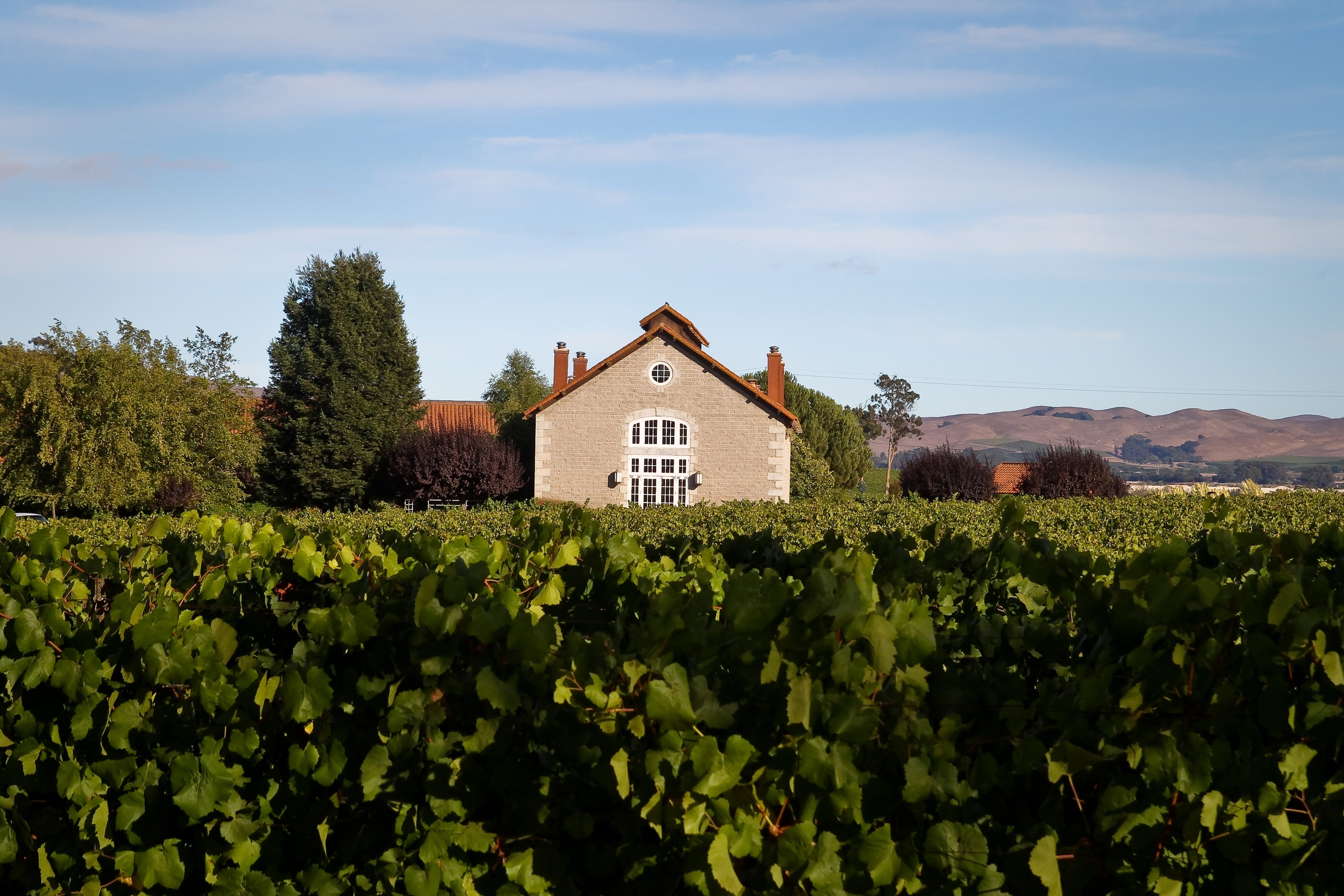 Stone winery building at Etude Wines, nestled amongst vineyards and rolling hills.