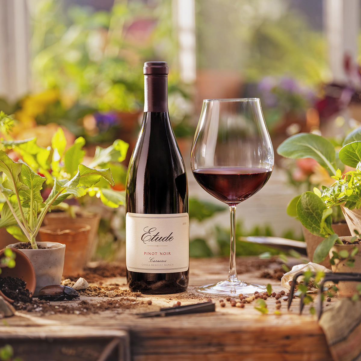 Etude Carneros Pinot Noir