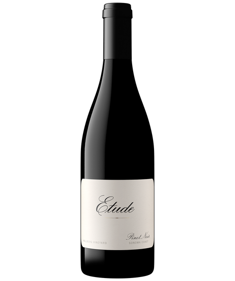 A bottle of Etude Hallberg Vineyard Sonoma Coast Pinot Noir.