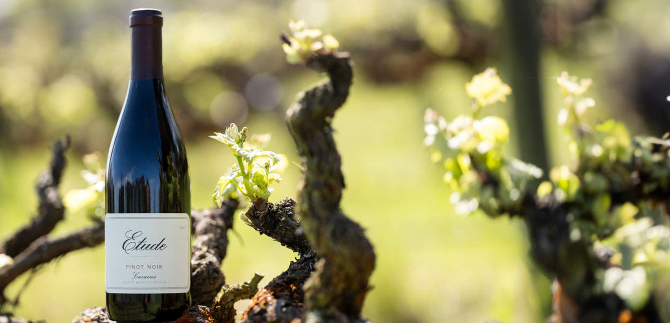 Grace Benoist Ranch Pinot Noir