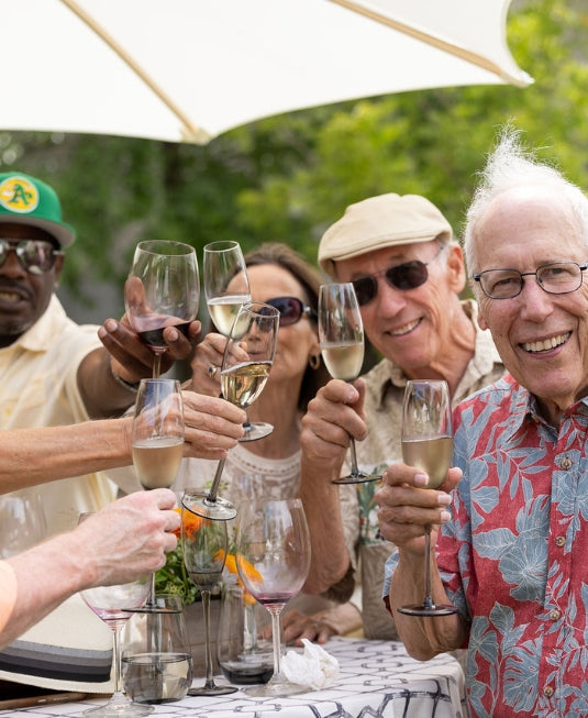 Friends raise wine glasses in celebratory toast