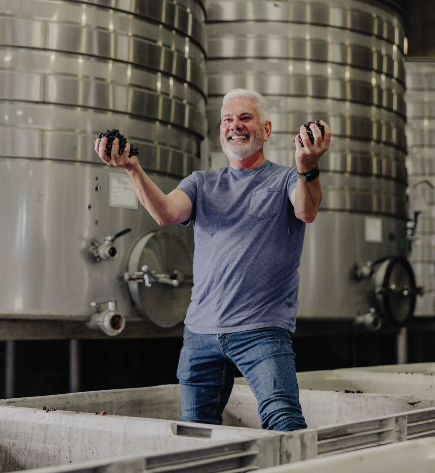 Winemaker Jon Priest holding up harvested grapes near stainless steel fermentation tanks.